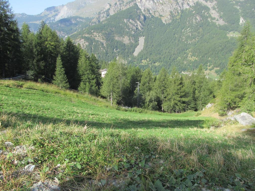 Cervino Valley House Rododendro Breuil-Cervinia Rom bilde