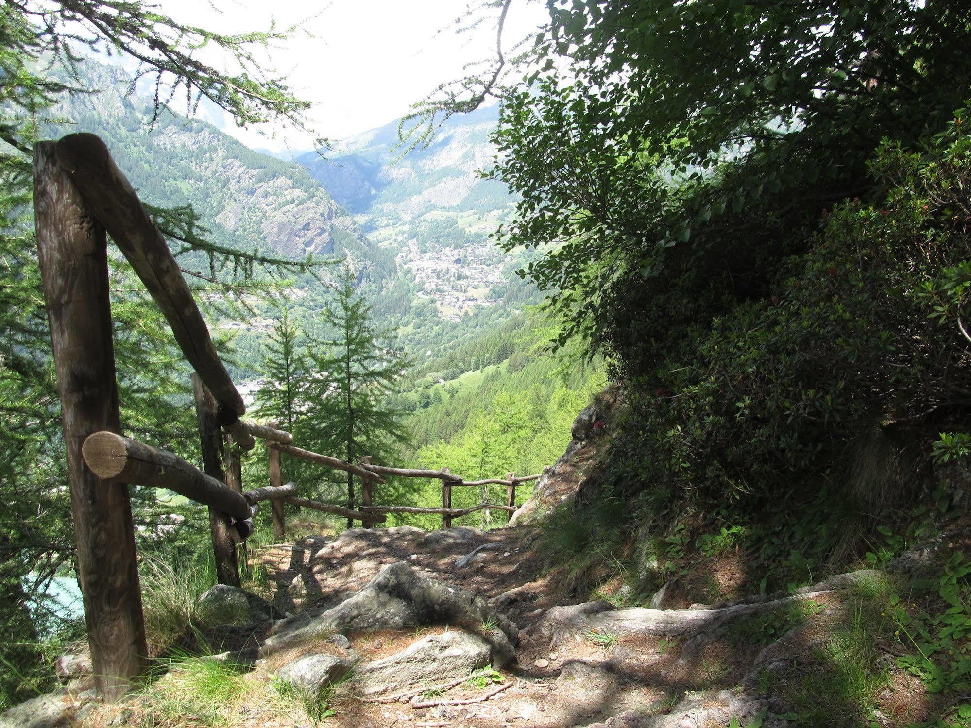 Cervino Valley House Rododendro Breuil-Cervinia Eksteriør bilde